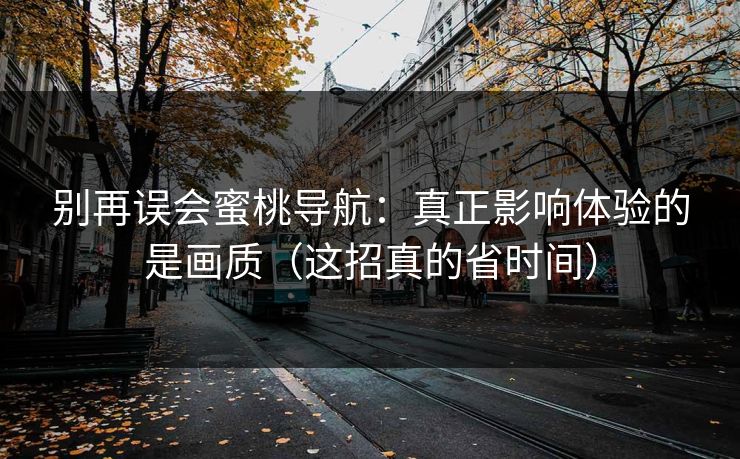 别再误会蜜桃导航:真正影响体验的是画质(这招真的省时间) 别再误会蜜桃导航:真正影响体验的是画质(这招真的省时间)