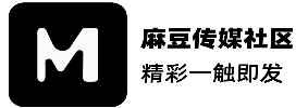 麻豆传媒内容与行业研究中心