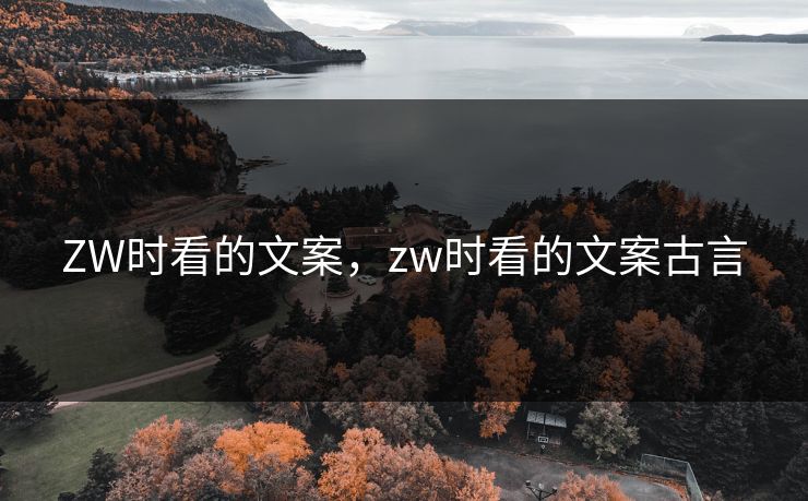 ZW时看的文案，zw时看的文案古言
