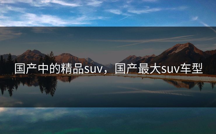 国产中的精品suv，国产最大suv车型