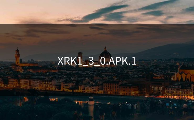 XRK1_3_0.APK.1